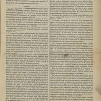 0391 - Page 389 - Société médicale des hôpitaux. Séance du 25 avril 1879. Présentations. M. Raynaud, en son nom et au nom de M. Sabourin : Sur un cas d'énorme dilatation des voies biliaires avec péri-angiocholite chronique et hypertrophie des glandes péri-canaliculaires / Rapports. Maladies régnantes. M. Besnier