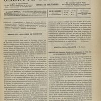 0395 - Page 393 - Sommaire / Séance de l'Académie de médecine. [Dr Brochin] / Hôpital de la Charité. M. Trélat. Influence des journées chaudes et orageuses de l'été sur le développement de la septicémie suraiguë