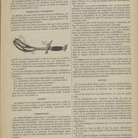 0727 - Page 725 - Académie de médecine. Séance du 5 août 1879. Correspondance / Présentation d'instrument / Lecture / Communication / Lecture. M. le Docteur Émile Vidal... : Transmission des bruits thoraciques jusque dans la partie inférieure de l'abdomen, chez les malades atteints d'ascite