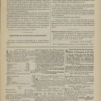 0745 - Page 743 - Société médicale des hôpitaux. Séance du 8 août 1879. Communications. Tumeur splénique et hépatique. M. Édouard Labbé / Chronique et nouvelles scientifiques. Faculté de médecine de Paris / Hospices civils de Rouen / Hygiène de l'enfance