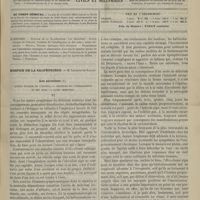 0381 - Page 369 - Sommaire / Hospice de la Salpêtrière. M. Legrand du Saulle. Les alcoolisés