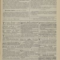 0491 - Page 479 - Revue bibliographique. De la démence mélancolique, par M. le Docteur A. Mairet... / Microchimie végétale, par M. V.-A. Poulsen