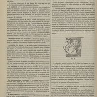 1096 - Page 1084 - Société de biologie. Séance du 24 novembre 1883. Communications. Absence de nerfs olfactifs. M. Lebec / Sécrétion lactée sur un mulet. M. Paul Bert / Avulsion des dents. M. Paul Bert / Du mécanisme de l'écriture. M. Javal / Variétés. Prothèse chirurgicale chez les anciens. Deux jambes des bois à l'époque gallo-romaine. Par M. Émile Rivière