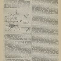 0919 - Page 909 - Le choc en retour et le foudroiement latéral ; par M. le Docteur F. Vincent...