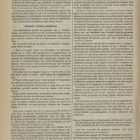 0810 - Page 800 - Revue clinique hebdomadaire. Le parasitisme microbien latent / Dyspnées d'origine paludéenne / Revue rétrospective : l'hydramnios traitée par la ponction de l'utérus ; la suture de l'estomac après extraction d'une fourchette de fer ; les réunions de nerfs coupés