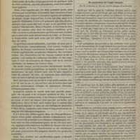 0804 - Page 920 - Hôpital des enfants. M. J. Simon. I. Luxation congénitale du fémur et coxalgie. - II. Du danger des vomitifs et des controstimulants dans la pneumonie et la bronchopneumonie. - III. Albuminurie, accidents urémiques / Thérapeutique chirurgicale. Du traitement de l'ongle incarné. Par M. le Docteur A. Ricard...