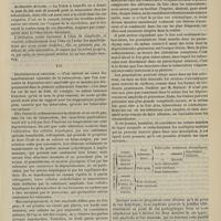 0249 - Page 237 - Revue générale. Le foie chez les tuberculeux. Par M. Paul Blocq... V. Cirrhose / VI. Altération muscade / VII. Dégénérescence amyloïde / VIII. Associations des lésions ; différents types de foie qu'on rencontre chez les tuberculeux