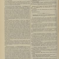 0542 - Page 530 - Société de chirurgie. Séance du 15 mai 1889. Communications. Opérations préliminaires pour l'ablation des tumeurs malignes des fosses nasales. M. Ollier / Traitement de l'anus contre nature. M. Richelot / Ablation du larynx. M. Gouguenheim / Chronique et nouvelles scientifiques. Concours d'agrégation (anatomie et physiologie) / Concours d'agrégation (physique, chimie et pharmacie) / École pratique