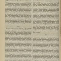 0562 - Page 550 - Revue générale. Des manifestations cutanées et muqueuses de la syphilis héréditaire précoce. Par M. le Docteur L. Jacquet... VII. Syphilide lenticulaire / VIII. Syphilide tuberculeuse ou gommeuse / IX. Syphilide phlegmoneuse