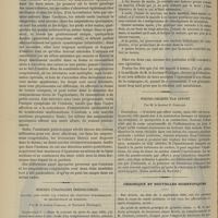 0950 - Page 938 - Amputations congénitales et aïnhum ; par M. le Docteur Jules Rouget / Hernies étranglées irréductibles traitées avec succès par l'emploi des injections hypodermiques de chlorhydrate de morphine. Par M. le Docteur Lombard... / Pseudo-Orchite par effort ; par M. le Docteur O. Guelliot / Chronique et nouvelles scientifiques