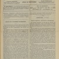 0981 - Page 969 - Sommaire / Séance de l'Académie de médecine / Hôtel-Dieu. M. Castex. Hernies inguinales, engouement et étranglement