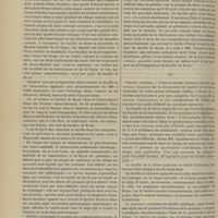 1132 - Page 1120 - Revue générale. Microbie médicale. Par M. le Docteur Thoinot... II. Tuberculose / III. Fièvre typhoïde