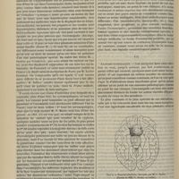 1180 - Page 1168 - Revue générale. L'acromégalie. Par M. le Docteur Georges Guinon... VI. Diagnostic / VII. Anatomie pathologique