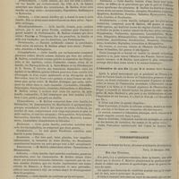1322 - Page 1310 - Revue bibliographique. Histoire des plantes, par le Professeur H. Baillon / L'éducation de nos fils, par M. le Docteur Jules Rochard / Correspondance. [Dr E. Ménière...]