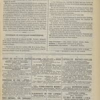 1107 - Page 1099 - Le Docteur Villemin / Chronique et nouvelles scientifiques