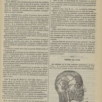 1381 - Page 1373 - Influence des positions horizontale et verticale sur les fonctions cérébrales ; par Just Sicard / Thèses de Lyon. Des adénites de la joue (adénites géniennes), par Paul Vigier