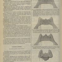 0434 - Page 462 - Revue générale. La symphyséotomie. Par le Docteur P.-A. Lop... Chapitre premier. Les articulations sacro-iliaques