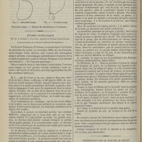 0318 - Page 308 - De l'intervention chirurgicale hâtive comme traitement du cancer de l'estomac ; par le Docteur A. Ricard... / Entorse sacro-iliaque ; par M. le Docteur L. Galliard... (Communication à la Société médicale des hôpitaux) / Intoxication par le sulfate de cuivre ; par le Docteur Bonnet...