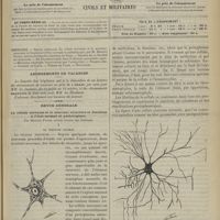 0787 - Page 781 - Sommaire / Abonnements de vacances / Revue générale. La cellule nerveuse et la neurone ; structure et fonctions à l'état normal et pathologique. Par Maurice Faure... I. Le neurone normal