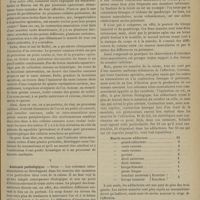 1179 - Page 1173 - Revue générale. Des ostéomes intra-musculaires d'origine traumatique. Par Paul Boudin... IV. Pathogénie / V. Anatomie pathologique