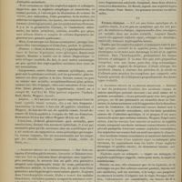 0562 - Page 556 - Revue générale. La syphilis rénale ; par M. Gabriel Delamare... III. Anatomie pathologique / IV. Formes cliniques