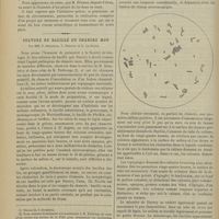 1514 - Page 1508 - Paris, le 10 décembre 1900 / Culture du bacille du chancre mou ; par MM, F. Bezançon, V. Griffon et L. Le Sourd