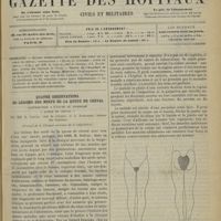 0175 - Page 169 - Sommaire / Quatre observations de lésions des nerfs de la queue de cheval. Contribution à l'étude du syndrome « queue de cheval » ; par MM. R. Cestan... et L. Babonneix... (Travail de la Clinique nerveuse de la Salpêtrière)
