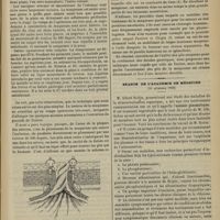 1427 - Page 1407 - De la gastrostomie par torsion de la muqueuse ; par M. Maurice Guillot... / Séance de l'Académie de médecine (16 décembre 1902). M. Albert Robin : Anémie plasmatique