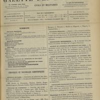 0251 - Page 241 - Sommaire / Chronique et nouvelles scientifiques. Hôpitaux de Paris / Concours de l'internat / Écoles de médecine / Distinctions honorifiques / Société de l'internat des hôpitaux de Paris / Cours d'anatomie pathologique du système nerveux / Association française pour l'avancement des sciences