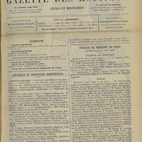 0299 - Page 289 - Sommaire / Chronique et nouvelles scientifiques. Hôpitaux de Paris / Hôpitaux de Province / Faculté de médecine de Paris. (Actes du 7 au 10 mars 1906). Examens de doctorat / Thèses