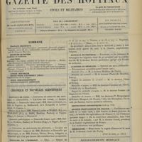 0335 - Page 325 - Sommaire / Chronique et nouvelles scientifiques. Hôpitaux de Paris / Concours de l'internat / Hôpitaux de Province / Académie de médecine / Distinctions honorifiques / Société végétarienne de France / Nécrologie
