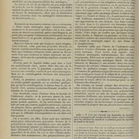 0354 - Page 344 - Revue générale. Le diagnostic de la méningite cérébro-spinale épidémique ; par Marcel Ferrand... II. Éléments de diagnostic fournis par la ponction lombaire. (A suivre) / Avis