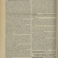 1748 - Page 1738 - Notes pour l'internat (écrit). Faisceau pyramidal. (A suivre)