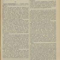 0345 - Page 339 - Revue générale. Les anémies pernicieuses ; par M. E. Agasse-Lafont... IX. Organes hématopoïétiques