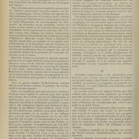 0382 - Page 376 - Revue générale. Le testicule tuberculeux infantile ; par G. Poissonnier... II. Pathogénie / III. Anatomie pathologique