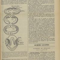 0077 - Page 65 - Clinique obstétricale. Un cas de cyclopie ; par M. Roland... / Sociétés savantes. Académie de médecine. (Séance du 14 janvier 1908). L'ophtalmo-diagnostic de la tuberculose et son rôle dans la lutte antituberculeuse. M. Calmette