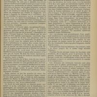 0305 - Page 293 - Revue générale. Diagnostic et traitement de l'éclampsie puerpérale. Par MM. Stern et Burnier... II. Prodromes / III. Accès