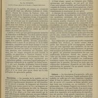 0447 - Page 435 - Revue générale. Le tréponème pâle de la syphilis. Ses localisations ; par Ch. Fouquet... I. Description / II. Cultures