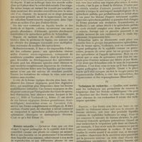 0448 - Page 436 - Revue générale. Le tréponème pale de la syphilis. Ses localisations ; par Ch. Fouquet... II. Cultures / III. Histoire naturelle / IV. Techniques de recherche