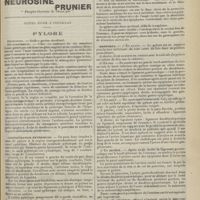 1589 - Page 1593 - Notes pour l'internat. Pylore