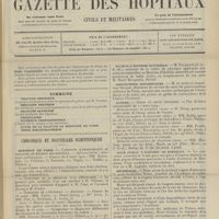 0375 - Page 369 - Sommaire / Chronique et nouvelles scientifiques. Hôpitaux de Paris / Écoles de médecine / Muséum d'histoire naturelle / Distinctions honorifiques / Guerre / Asile public d'aliénés de Bordeaux / Nécrologie (Voir la suite des Nouvelles, p. 377)