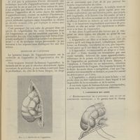 0753 - Page 747 - Comment convient-il d'enlever l'appendice ? Par L. Chevrier...