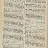 0788 - Page 782 - Articles originaux des principales publications françaises et étrangères. Münchener medizinische Wochenschrift / Policlinico / Presse médicale / Revue hebdomadaire de laryngologie, d'otologie et de rhinologie / Revue de médecine / Revue médicale de l'Est / Semaine gynécologique / Tribune médicale / Wiener klinische Wochenschrift