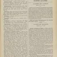 0809 - Page 803 - Revue générale. Le rein dans la diphtérie ; par P.-J. Ménard... Pathogénie de l'albuminurie / Sociétés savantes. Académie des sciences. (Séance du 24 mai 1909). Relation entre le sommeil et les rétentions d'eau interstitielle. M. Devaux / Société de chirurgie. (Séance du 2 juin 1909). Sarcome à myéloplaxe de l'épaule. M. Mauclaire, sur une observation de M. René Le Fort