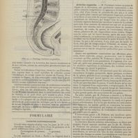 1554 - Page 1548 - Instruments et appareils. Appareil du Docteur le Filliatre pour le drainage lombaire du liquide céphalo-rachidien ; sa technique ; par MM. Gustave Le Filiatre... et Georges Rosenthal... / Formulaire. Vaginites blennorragiques / Sociétés savantes. Société de chirurgie. (Séance du 27 octobre 1909). Arthrites suppurées. M. Potherat