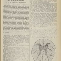 0231 - Page 219 - Un cas de paralysie ascendante aiguë chez un enfant de onze ans ; par MM. A. Coyon et L. Babonneix