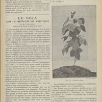 0411 - Page 399 - Hôtel-Dieu d'Amiens. - Service de M. Moulonguet. Contusion abdominale. Mécanisme des lésions viscérales ; par MM. Albert Mercier et Pierre Moulonguet... / Le Soja dans l'alimentation des diabétiques ; par M. J. Le Goff...