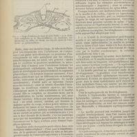 0806 - Page 794 - Revue générale. Le spina Bifida ; par MM. Albert Mouchet... et O. Pizon... III. Embryologie / IV. Formes anatomiques