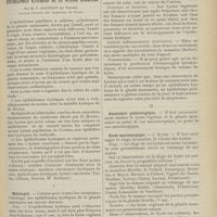 0901 - Page 889 - Revue générale. Les épithéliomas kystiques de la glande mammaire ; par M. F. Jacoulet... I. Etiologie / II. Anatomie pathologique. Etude macroscopique