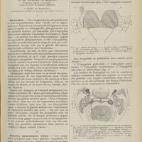 1255 - Page 1243 - Revue générale. Les abcès amygdaliens et péri-amygdaliens ; par MM. Soubeyran... et Sassy... I. Historique / II. Données anatomiques utiles
